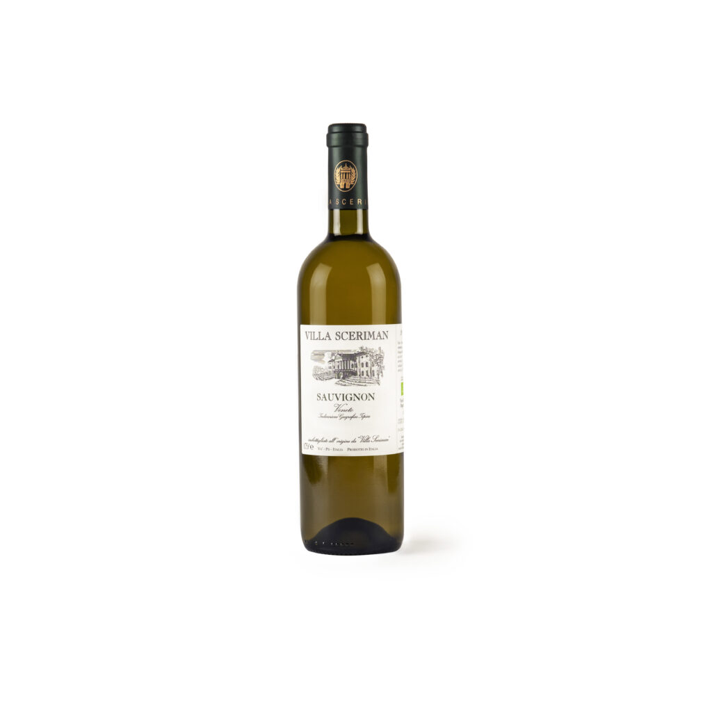 Igt Veneto Sauvignon bianco